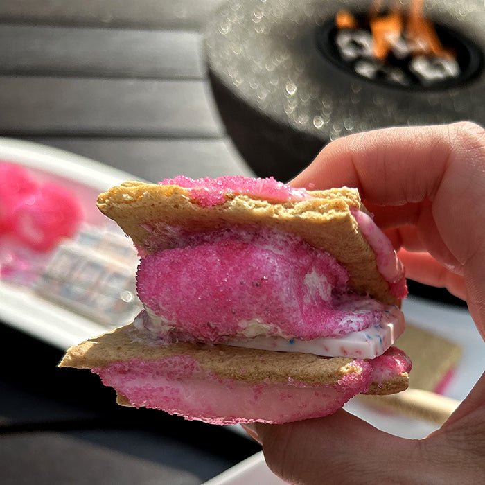 Barbie Movie-Inspired Pink S’mores Recipe - City Bonfires