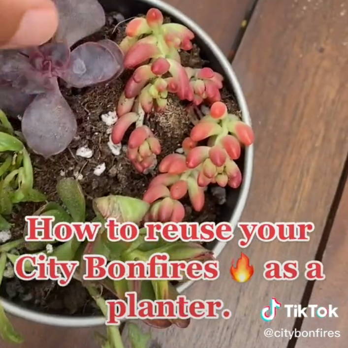 How to Reuse your City Bonfires as a Planter! - City Bonfires